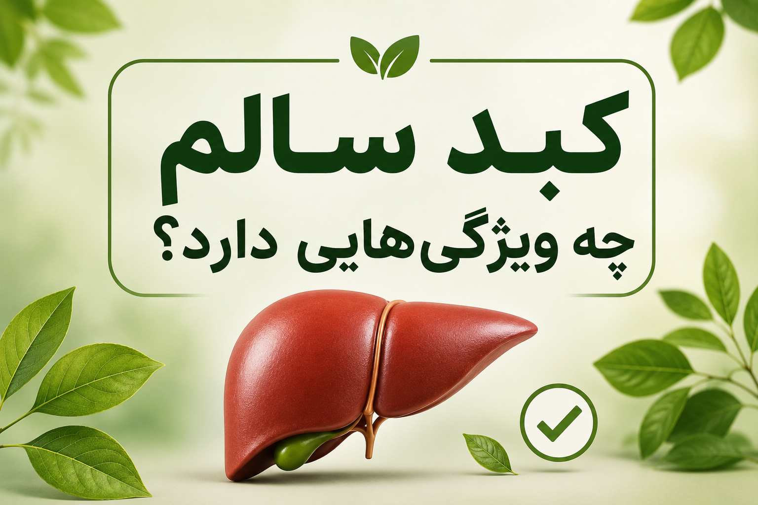 کبد سالم چه ویژگی‌هایی دارد؟